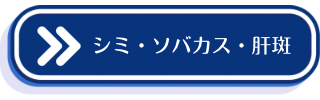 シミ・ソバカス・肝斑についての説明