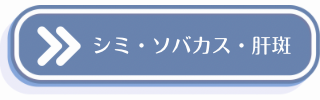 シミ・ソバカス・肝斑についての説明