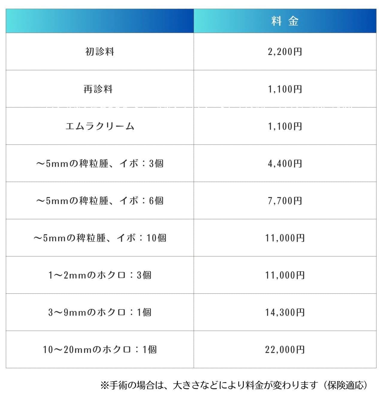 CO2レーザー施術料金表