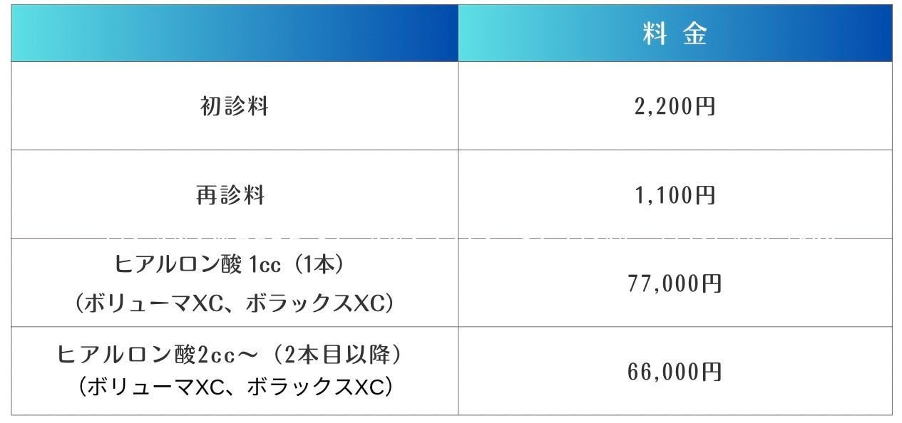 ヒアルロン酸注入の料金表
