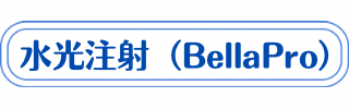 水光注射（BellaPro）の説明